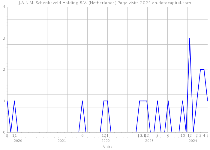 J.A.N.M. Schenkeveld Holding B.V. (Netherlands) Page visits 2024 