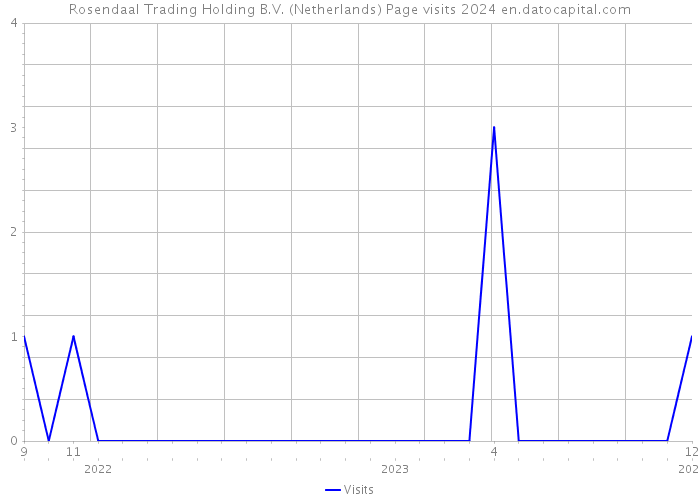 Rosendaal Trading Holding B.V. (Netherlands) Page visits 2024 
