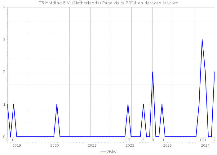 TB Holding B.V. (Netherlands) Page visits 2024 
