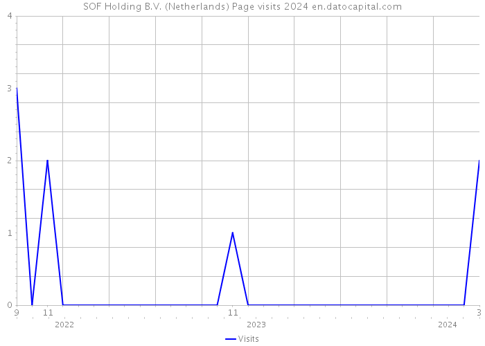 SOF Holding B.V. (Netherlands) Page visits 2024 