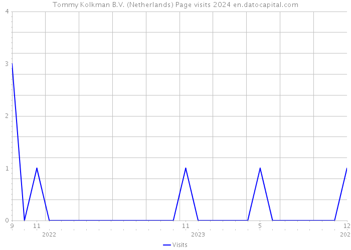 Tommy Kolkman B.V. (Netherlands) Page visits 2024 