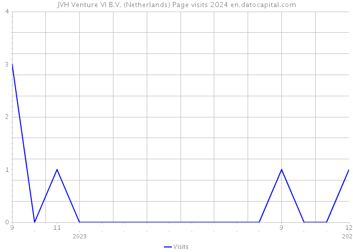 JVH Venture VI B.V. (Netherlands) Page visits 2024 