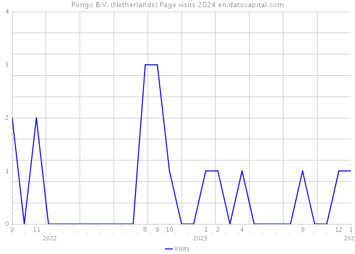 Pongo B.V. (Netherlands) Page visits 2024 