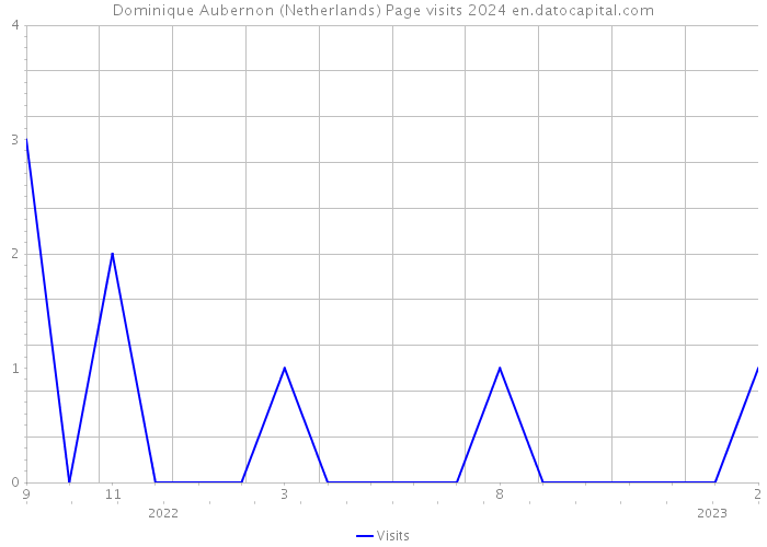 Dominique Aubernon (Netherlands) Page visits 2024 