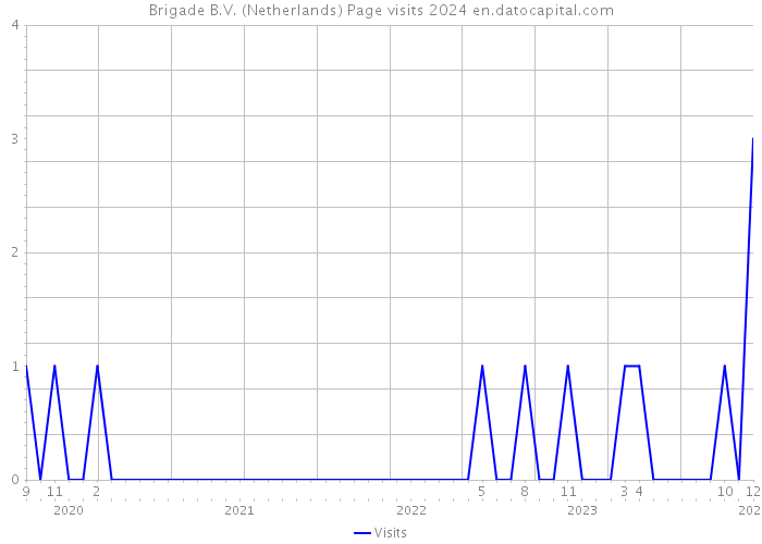 Brigade B.V. (Netherlands) Page visits 2024 