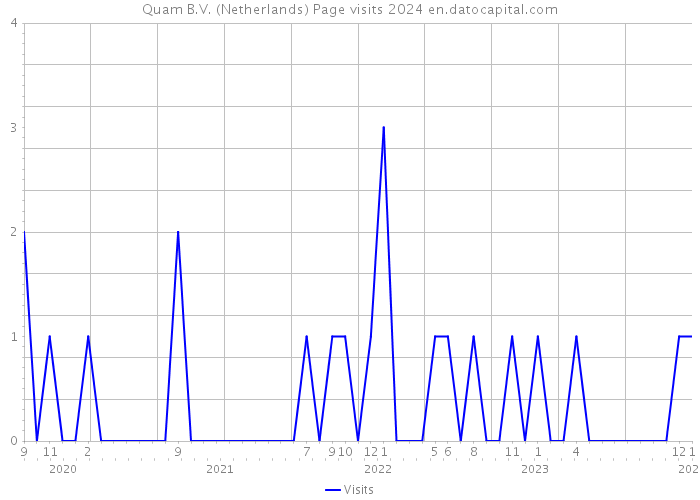 Quam B.V. (Netherlands) Page visits 2024 