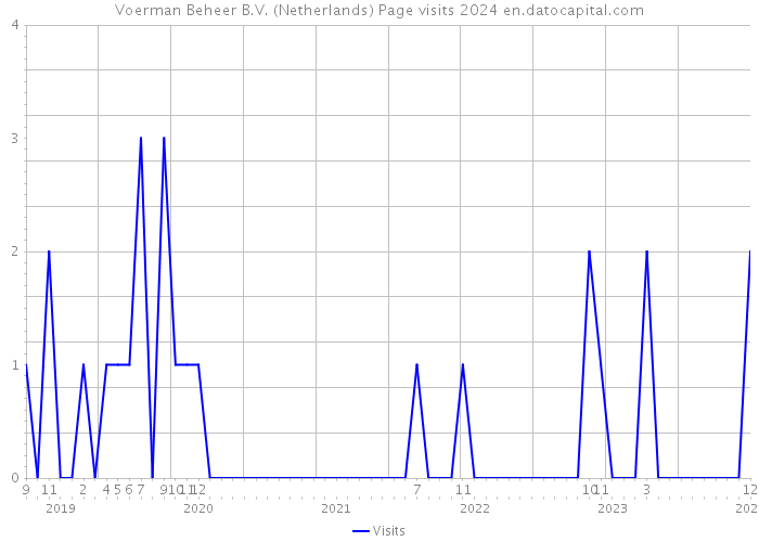Voerman Beheer B.V. (Netherlands) Page visits 2024 