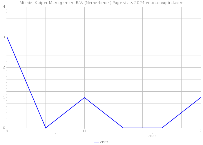 Michiel Kuiper Management B.V. (Netherlands) Page visits 2024 