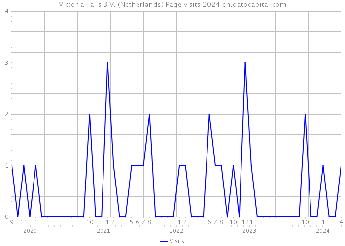 Victoria Falls B.V. (Netherlands) Page visits 2024 
