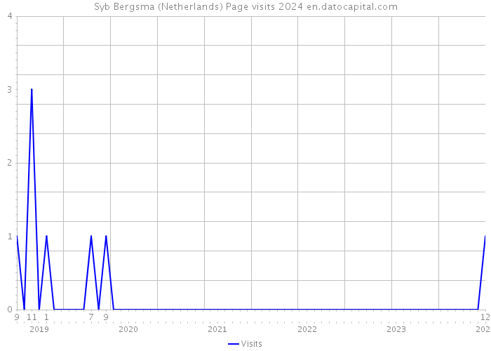 Syb Bergsma (Netherlands) Page visits 2024 