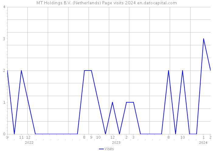 MT Holdings B.V. (Netherlands) Page visits 2024 