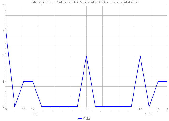 Introspect B.V. (Netherlands) Page visits 2024 