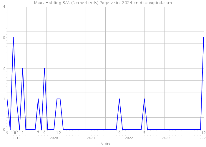 Maas Holding B.V. (Netherlands) Page visits 2024 