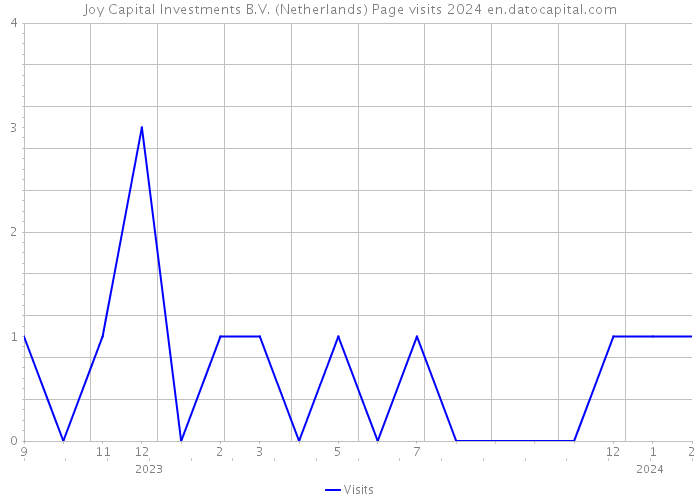 Joy Capital Investments B.V. (Netherlands) Page visits 2024 