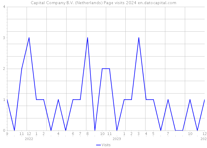 Capital Company B.V. (Netherlands) Page visits 2024 