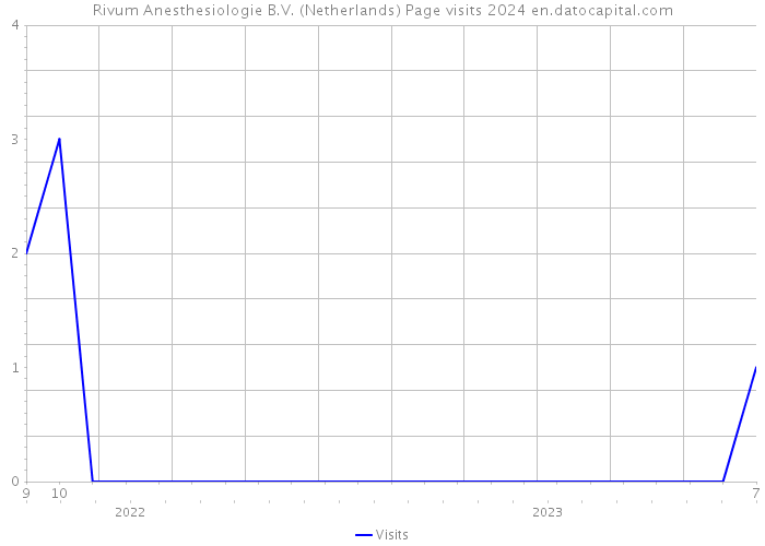 Rivum Anesthesiologie B.V. (Netherlands) Page visits 2024 