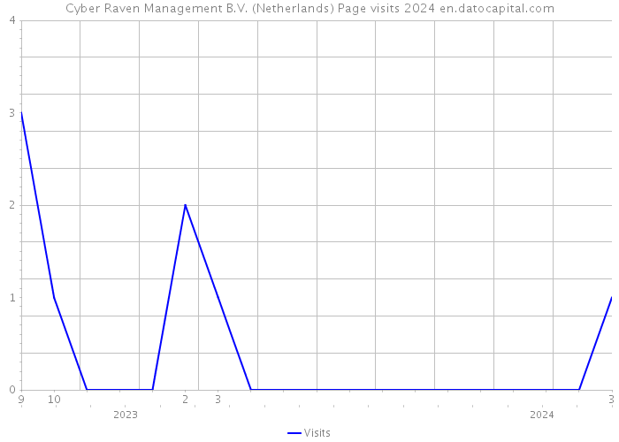 Cyber Raven Management B.V. (Netherlands) Page visits 2024 