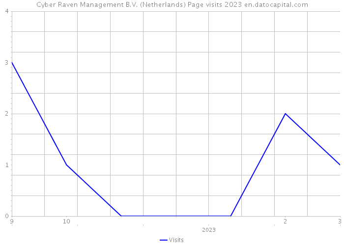 Cyber Raven Management B.V. (Netherlands) Page visits 2023 