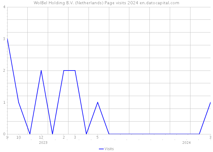 WolBel Holding B.V. (Netherlands) Page visits 2024 