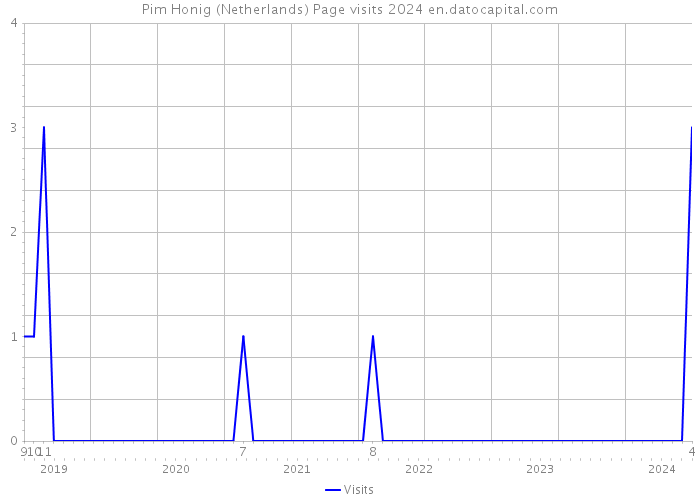 Pim Honig (Netherlands) Page visits 2024 