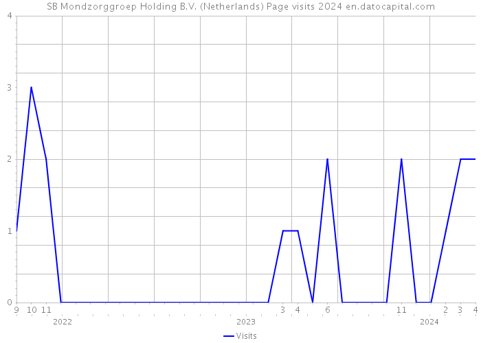 SB Mondzorggroep Holding B.V. (Netherlands) Page visits 2024 