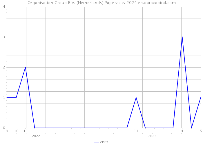 Organisation Group B.V. (Netherlands) Page visits 2024 
