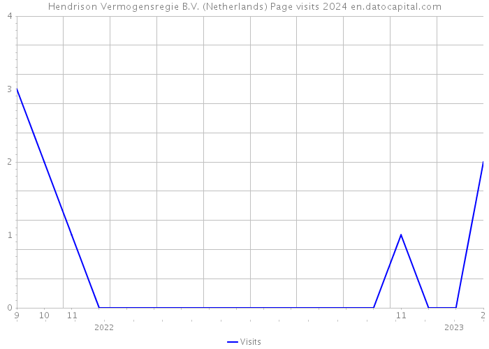 Hendrison Vermogensregie B.V. (Netherlands) Page visits 2024 