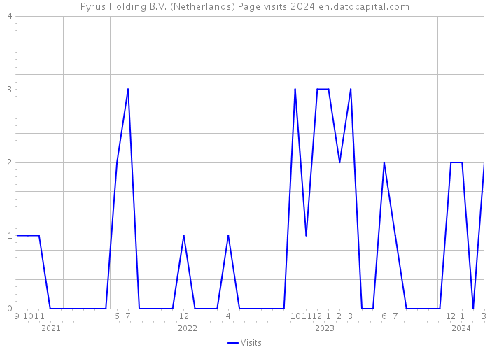 Pyrus Holding B.V. (Netherlands) Page visits 2024 