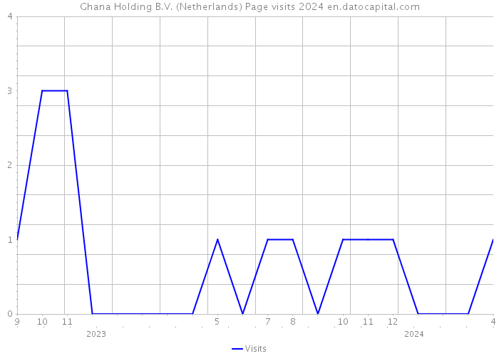Ghana Holding B.V. (Netherlands) Page visits 2024 