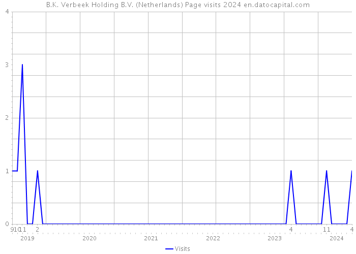 B.K. Verbeek Holding B.V. (Netherlands) Page visits 2024 