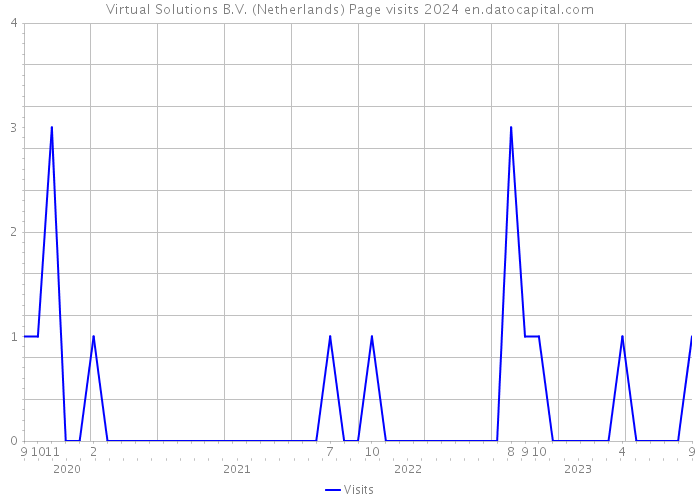 Virtual Solutions B.V. (Netherlands) Page visits 2024 