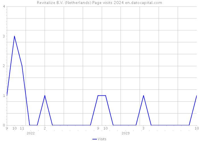Revitalize B.V. (Netherlands) Page visits 2024 