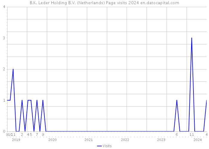 B.K. Leder Holding B.V. (Netherlands) Page visits 2024 