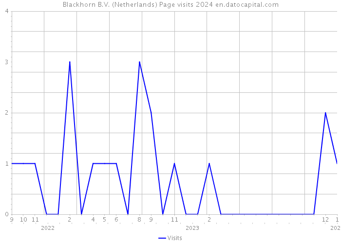 Blackhorn B.V. (Netherlands) Page visits 2024 