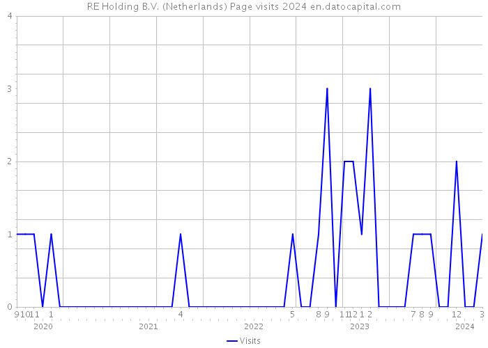 RE Holding B.V. (Netherlands) Page visits 2024 