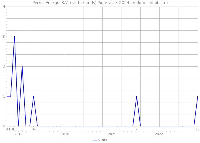 Pernis Energie B.V. (Netherlands) Page visits 2024 