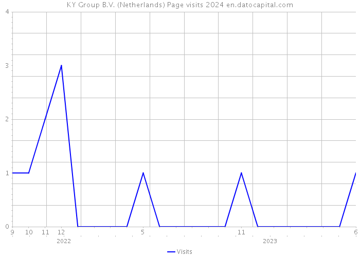 KY Group B.V. (Netherlands) Page visits 2024 