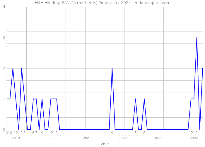 H&H Holding B.V. (Netherlands) Page visits 2024 