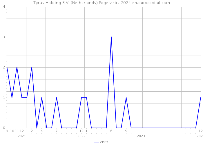 Tyrus Holding B.V. (Netherlands) Page visits 2024 