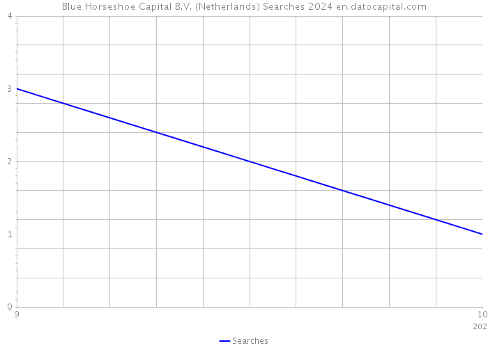 Blue Horseshoe Capital B.V. (Netherlands) Searches 2024 