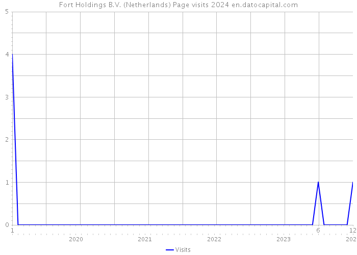 Fort Holdings B.V. (Netherlands) Page visits 2024 