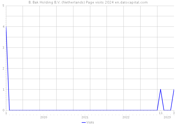 B. Bak Holding B.V. (Netherlands) Page visits 2024 