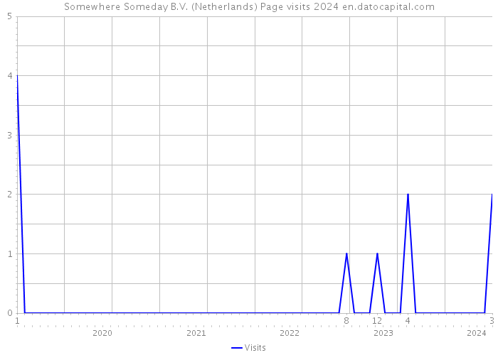 Somewhere Someday B.V. (Netherlands) Page visits 2024 
