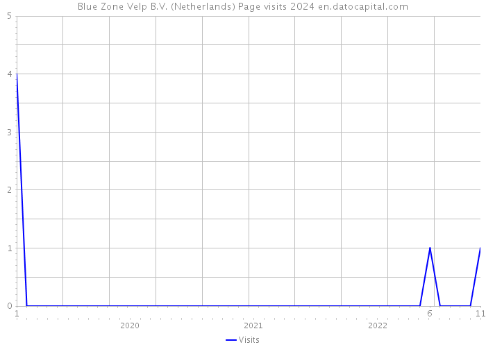 Blue Zone Velp B.V. (Netherlands) Page visits 2024 
