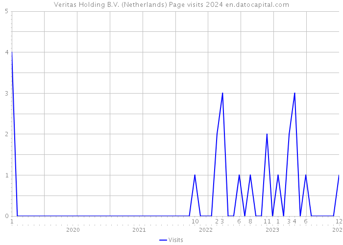Veritas Holding B.V. (Netherlands) Page visits 2024 