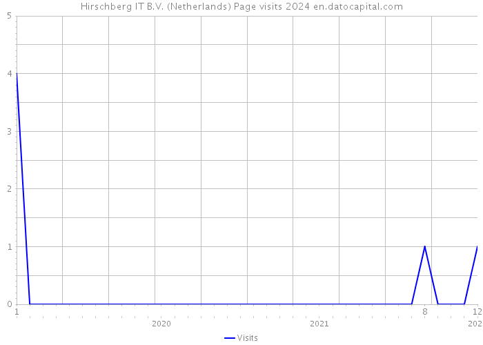 Hirschberg IT B.V. (Netherlands) Page visits 2024 