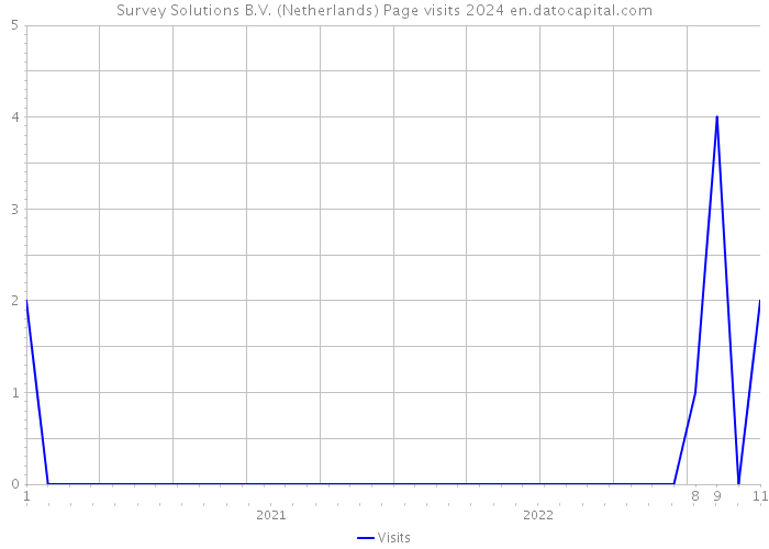Survey Solutions B.V. (Netherlands) Page visits 2024 