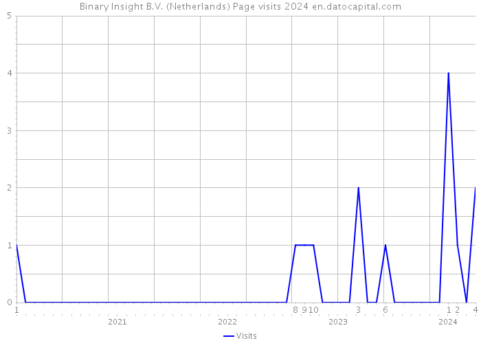 Binary Insight B.V. (Netherlands) Page visits 2024 