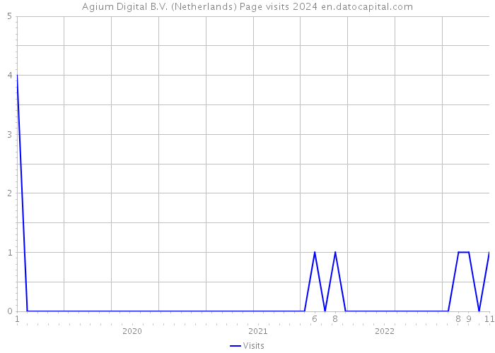 Agium Digital B.V. (Netherlands) Page visits 2024 