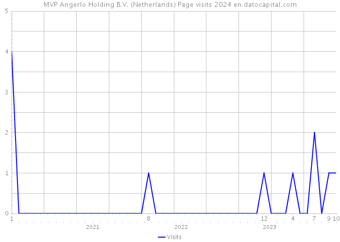 MVP Angerlo Holding B.V. (Netherlands) Page visits 2024 